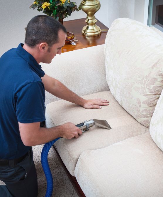 Exceptional Carpet and Upholstery Cleaning for Abington and Surrounding Areas