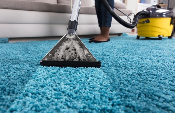 Professional Carpet Cleaning Services in South Philadelphia, PA