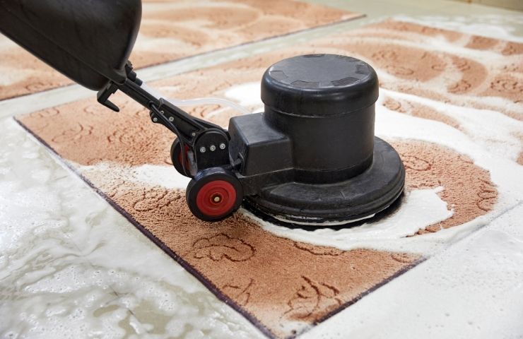 Why Choose Cleanza Carpet Cleaning in Norristown, PA