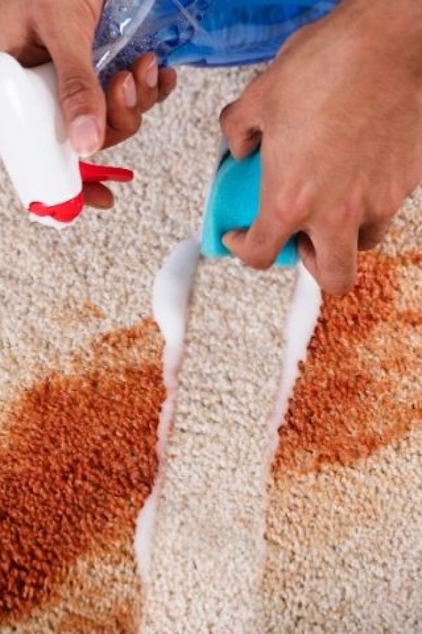 Affordable Carpeting Cleaning Services in Philadelphia, PA