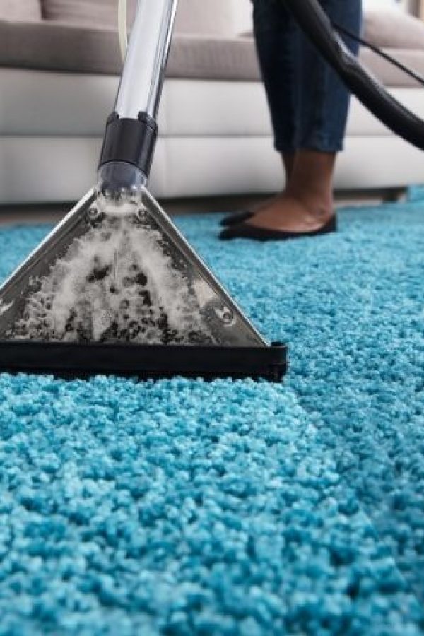 Why Choose Cleanza Carpet Cleaning Company for Pet Stain and Odor Removal in Philadelphia