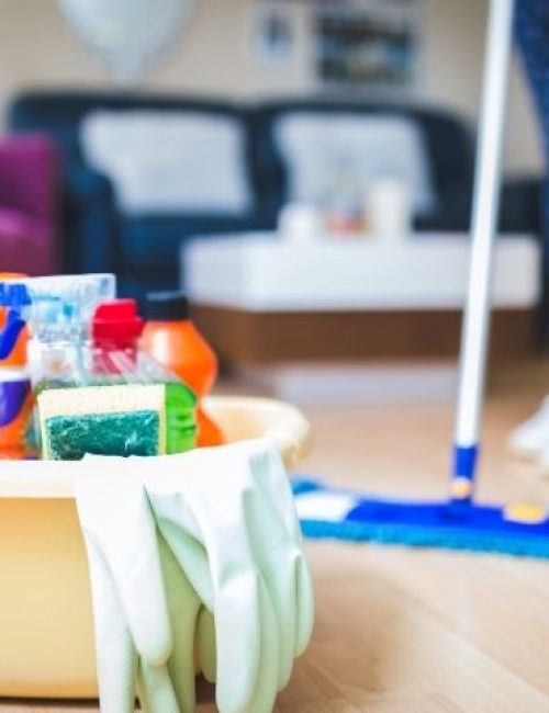 Why Choose Our Professional House Cleaning Services in Philadelphia