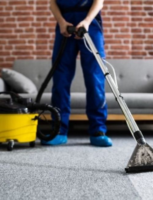 Why Professional Carpet Cleaning Matters